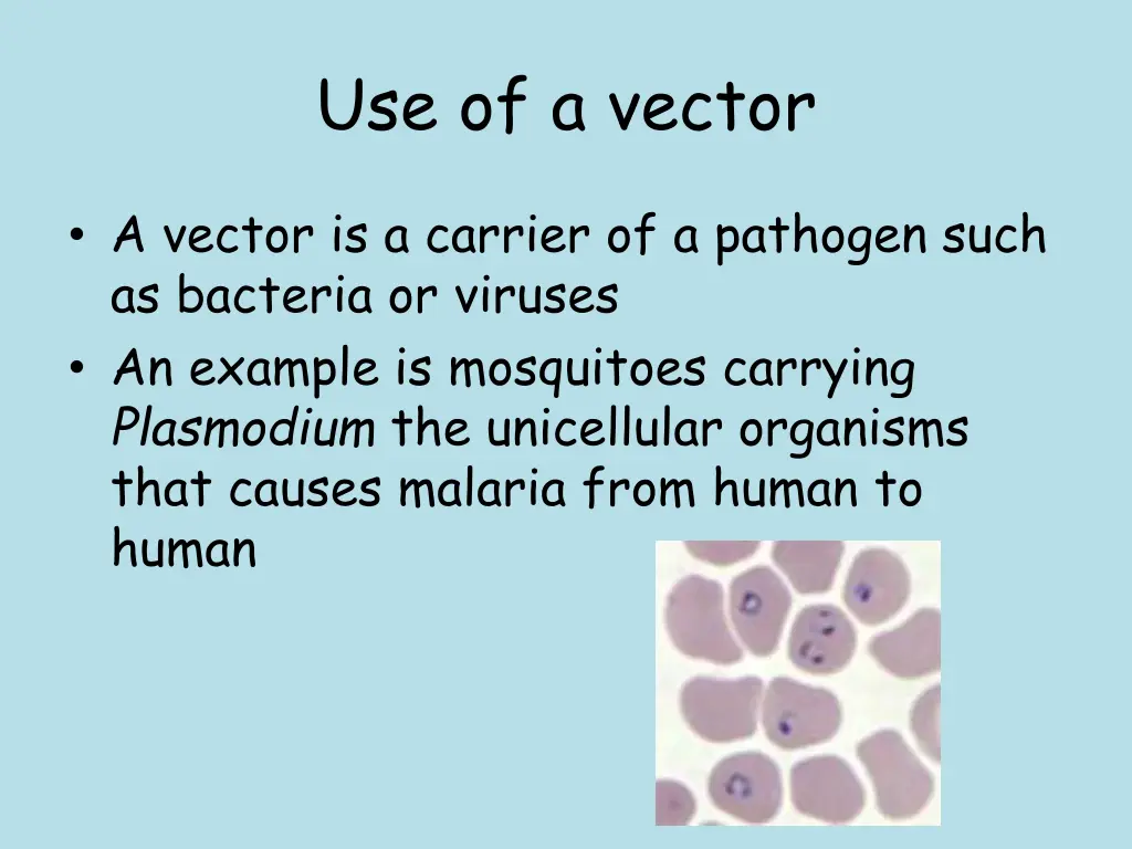 use of a vector