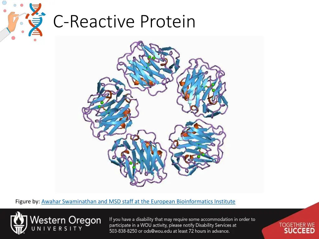 c reactive protein
