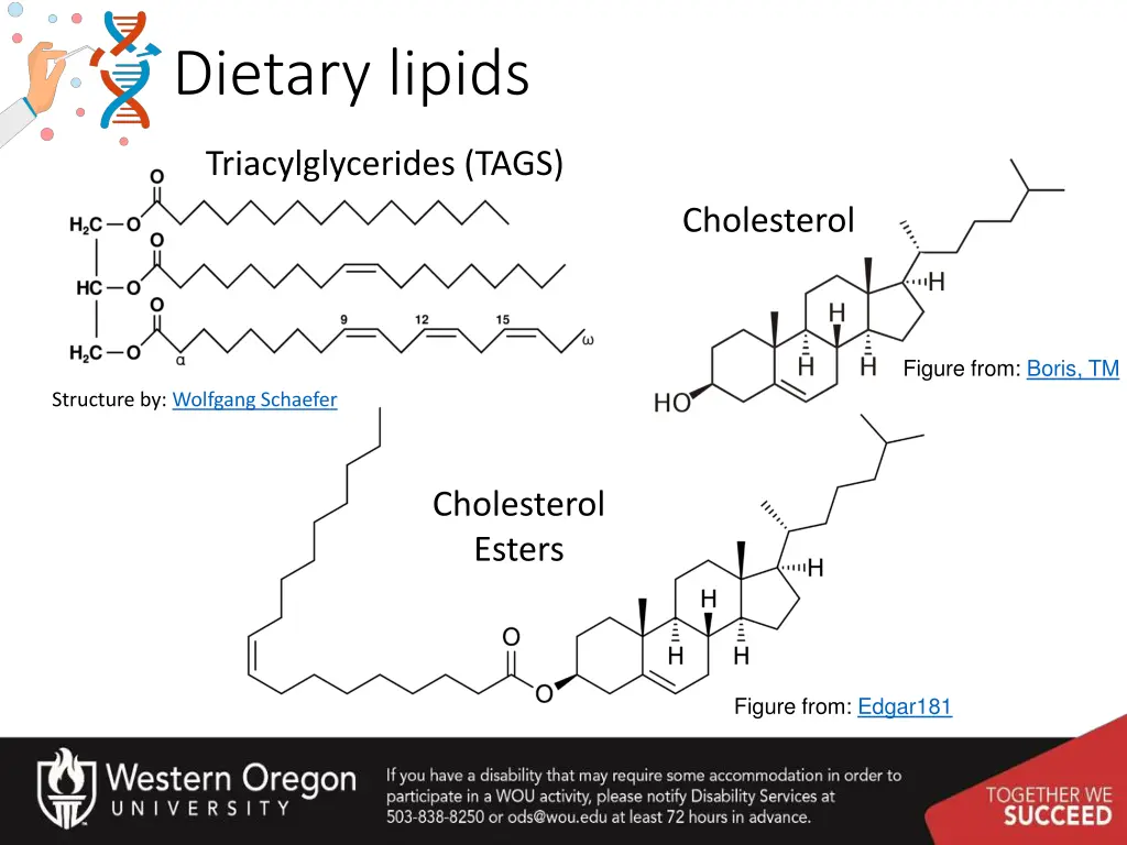 dietary lipids