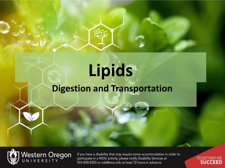 lipids