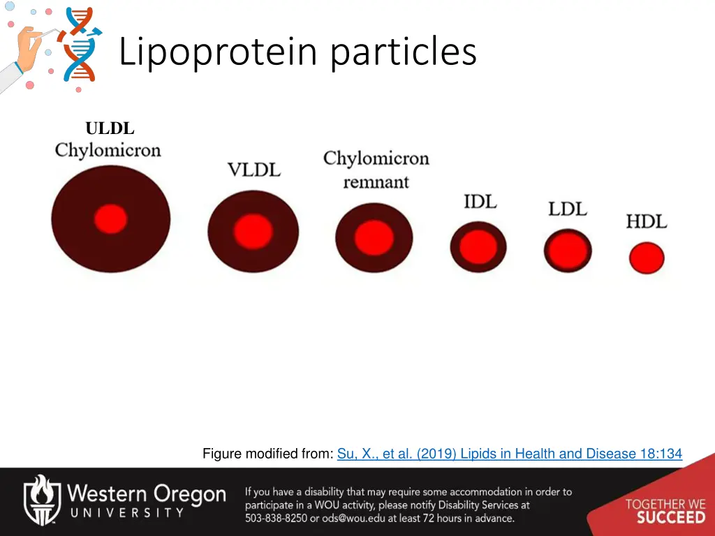 lipoprotein particles 1