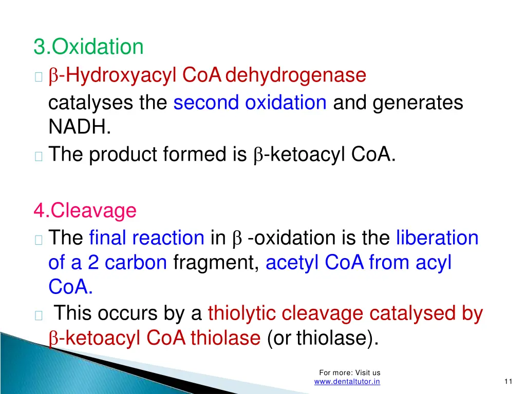3 oxidation hydroxyacyl coadehydrogenase