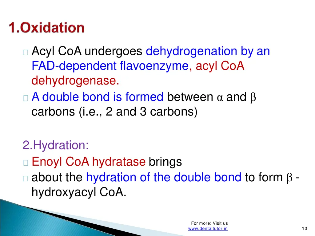 acyl coa undergoes dehydrogenation
