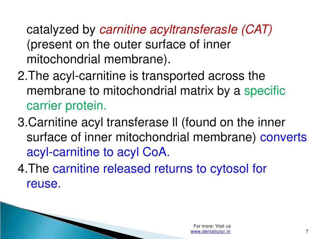 catalyzed by carnitine acyltransferasie