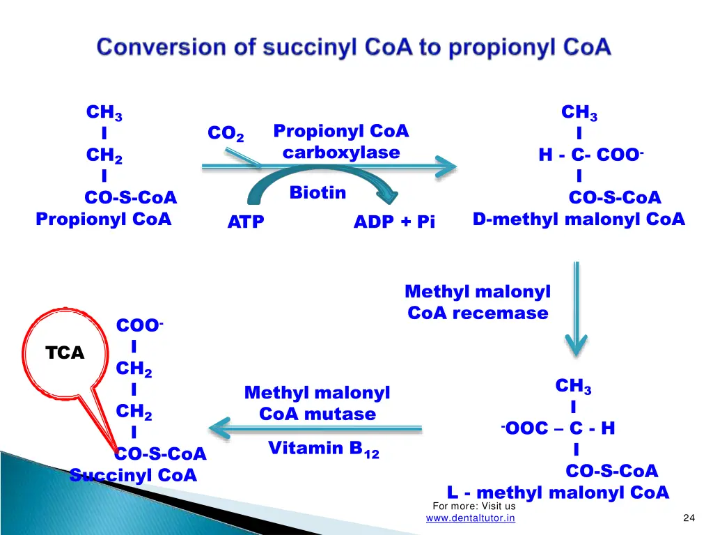 ch 3 i ch 2 i co s coa