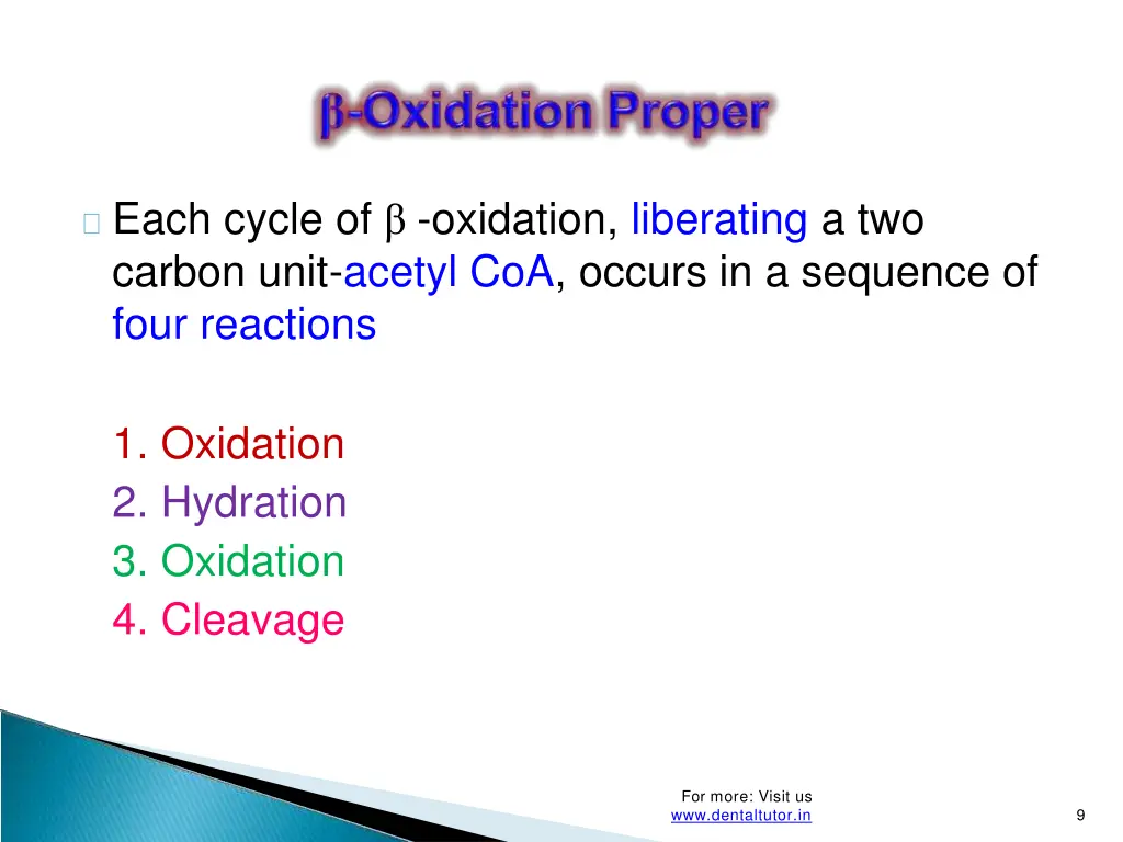each cycle of oxidation liberating a two carbon