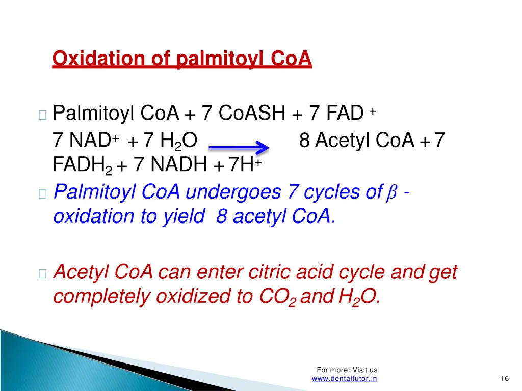 oxidation of palmitoyl coa