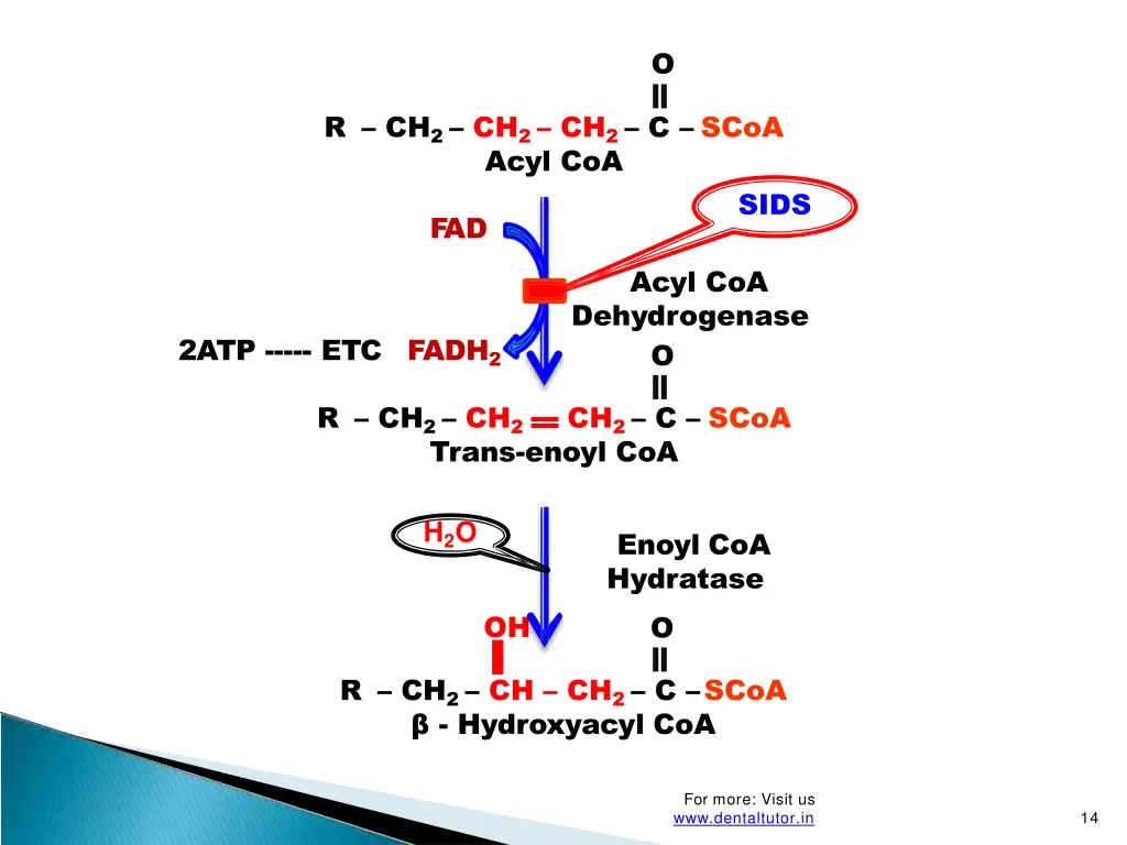 slide14