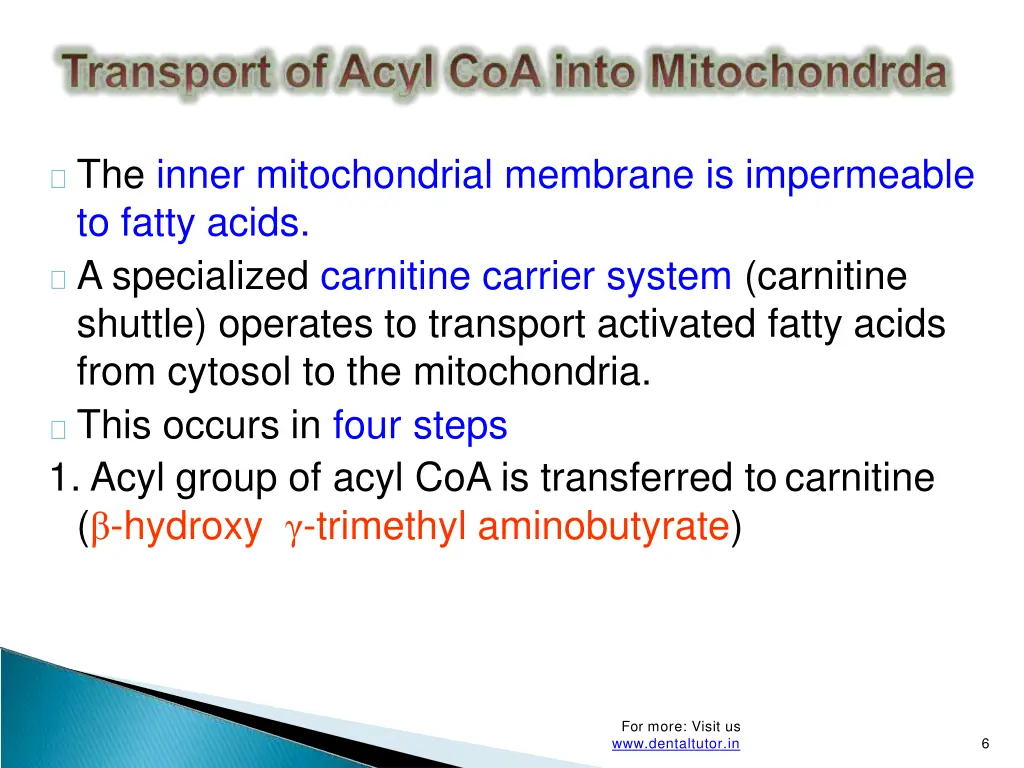 the inner mitochondrial membrane is impermeable