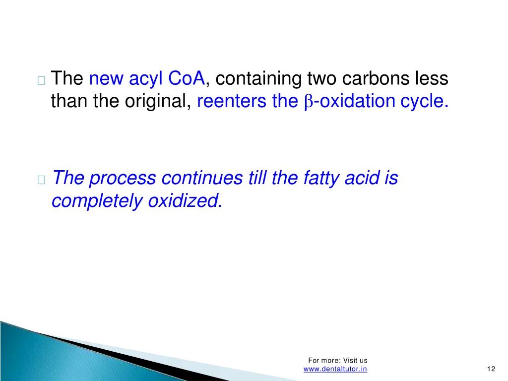 the new acyl coa containing two carbons less than