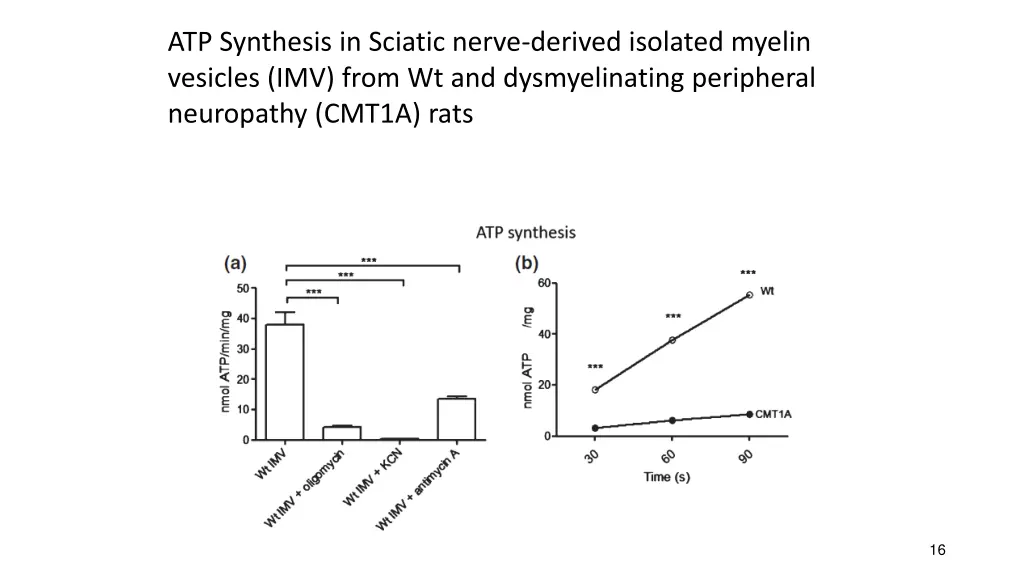 atp synthesis in sciatic nerve derived isolated