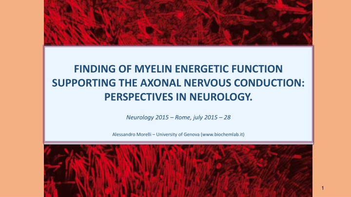 finding of myelin energetic function supporting
