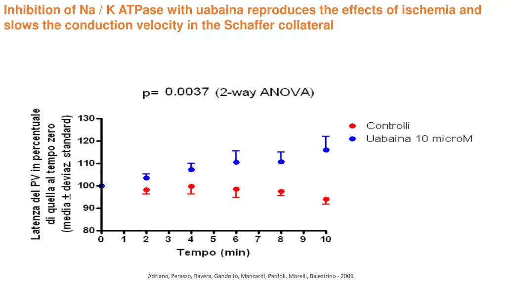inhibition of na k atpase with uabaina reproduces
