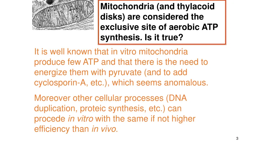 mitochondria and thylacoid disks are considered