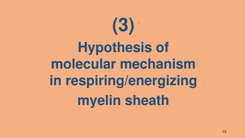 slide19