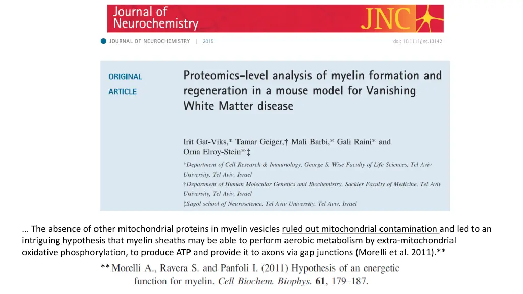 the absence of other mitochondrial proteins
