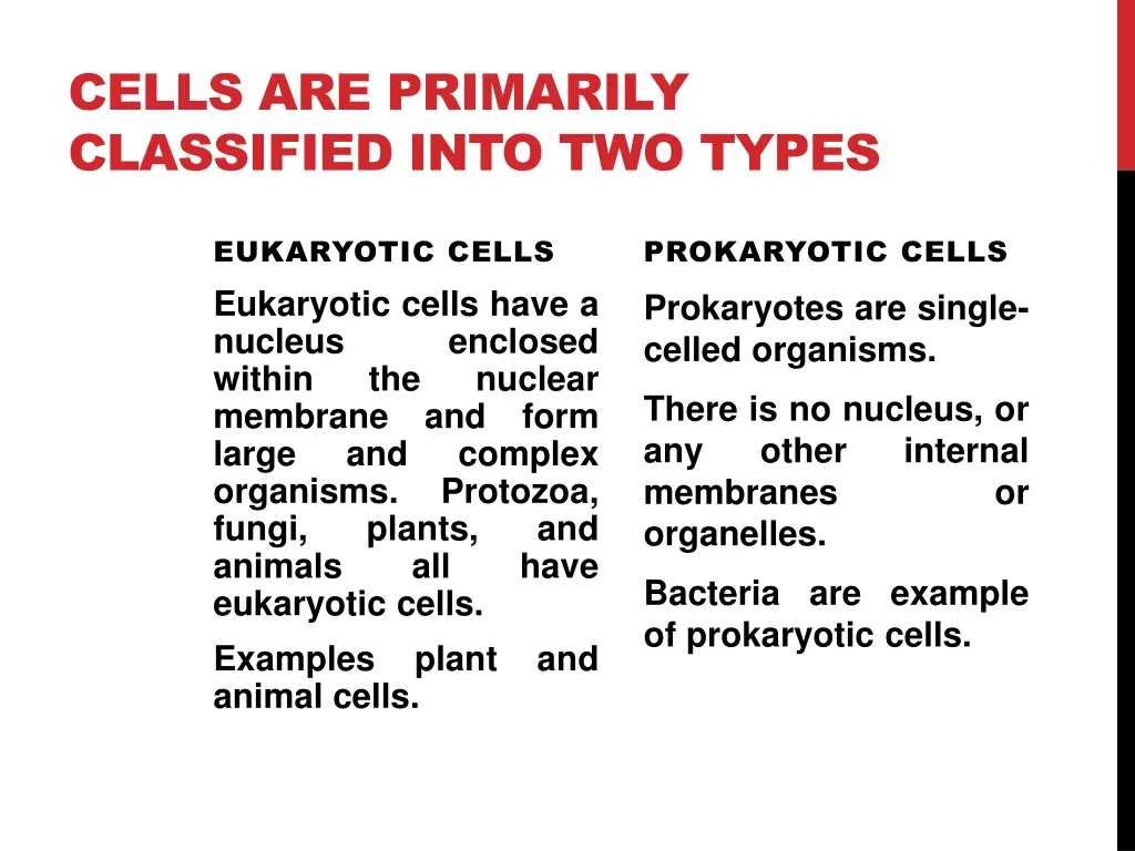 cells are primarily classified into two types