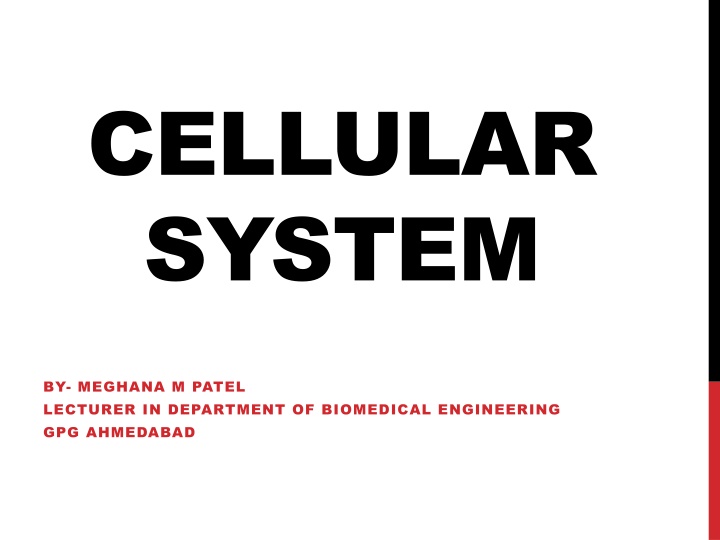 cellular system