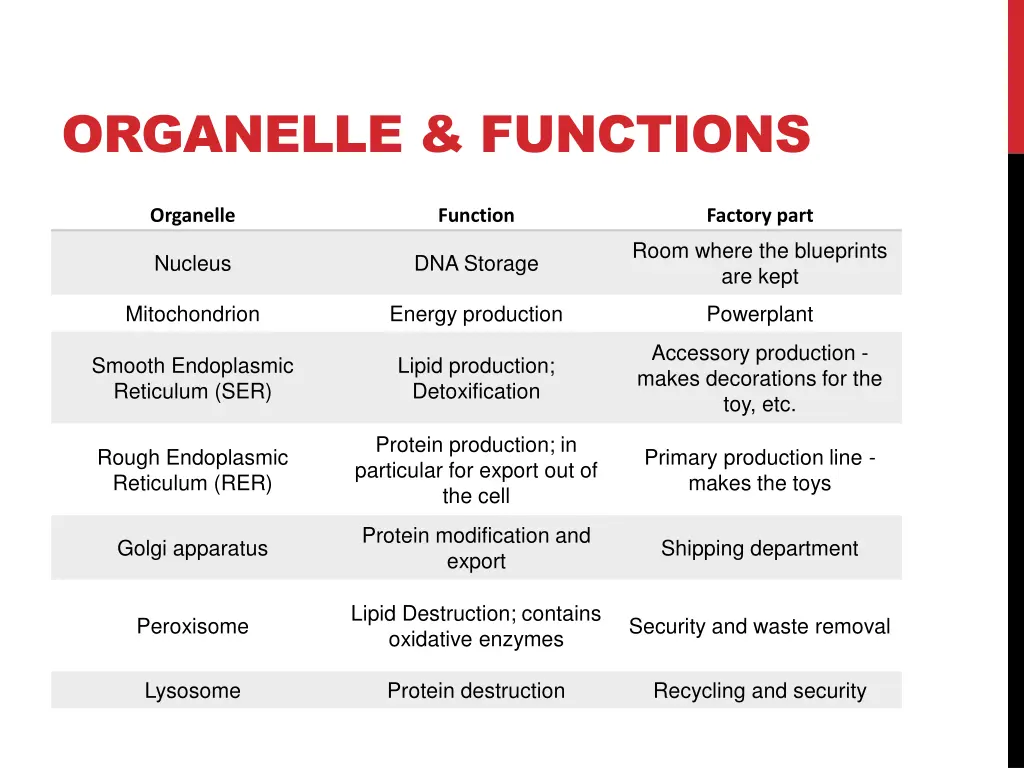 organelle functions