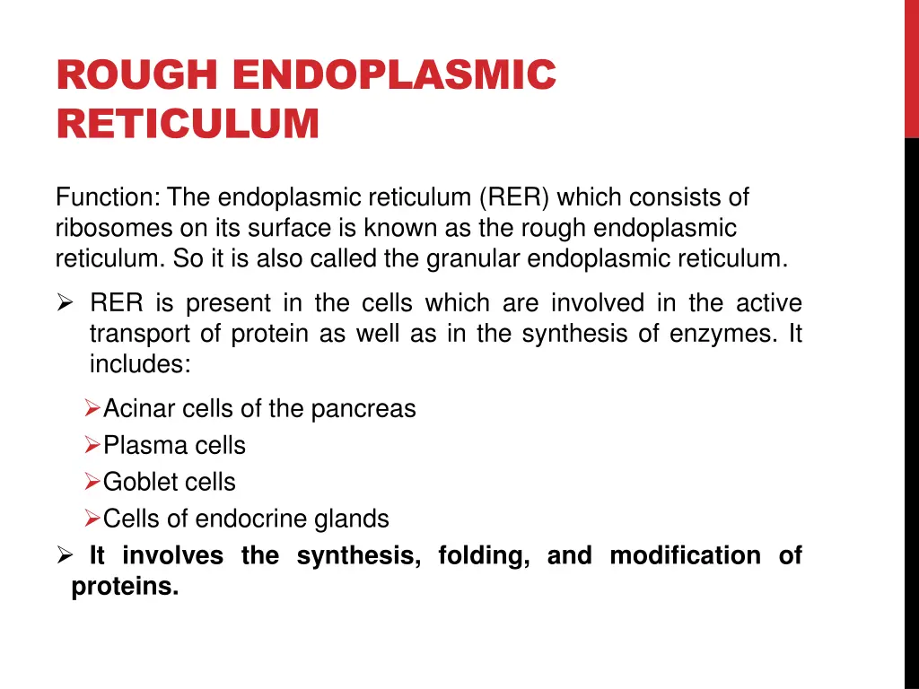 rough endoplasmic reticulum