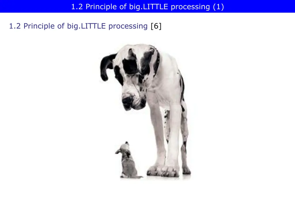 1 2 principle of big little processing 1