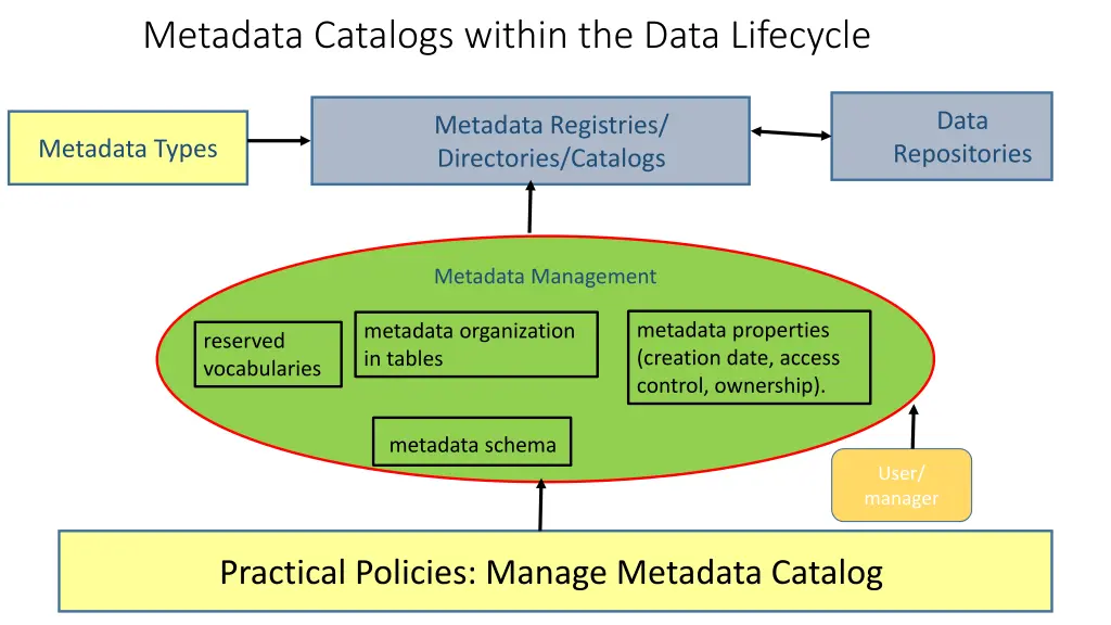 metadata catalogs within the data lifecycle