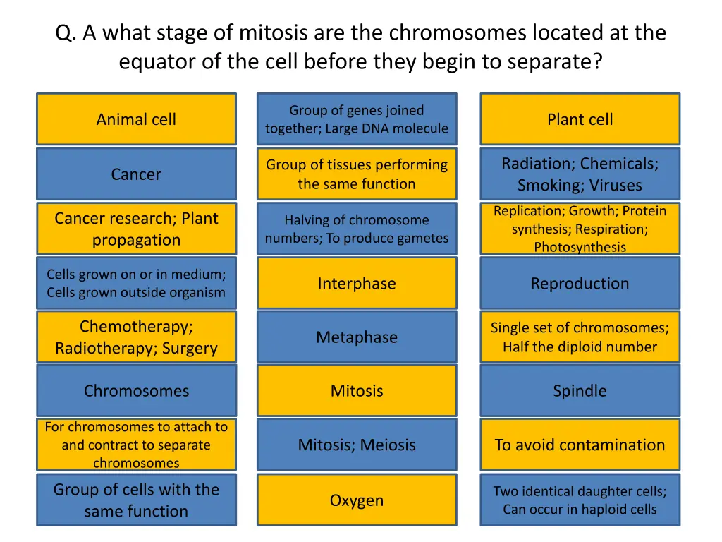q a what stage of mitosis are the chromosomes