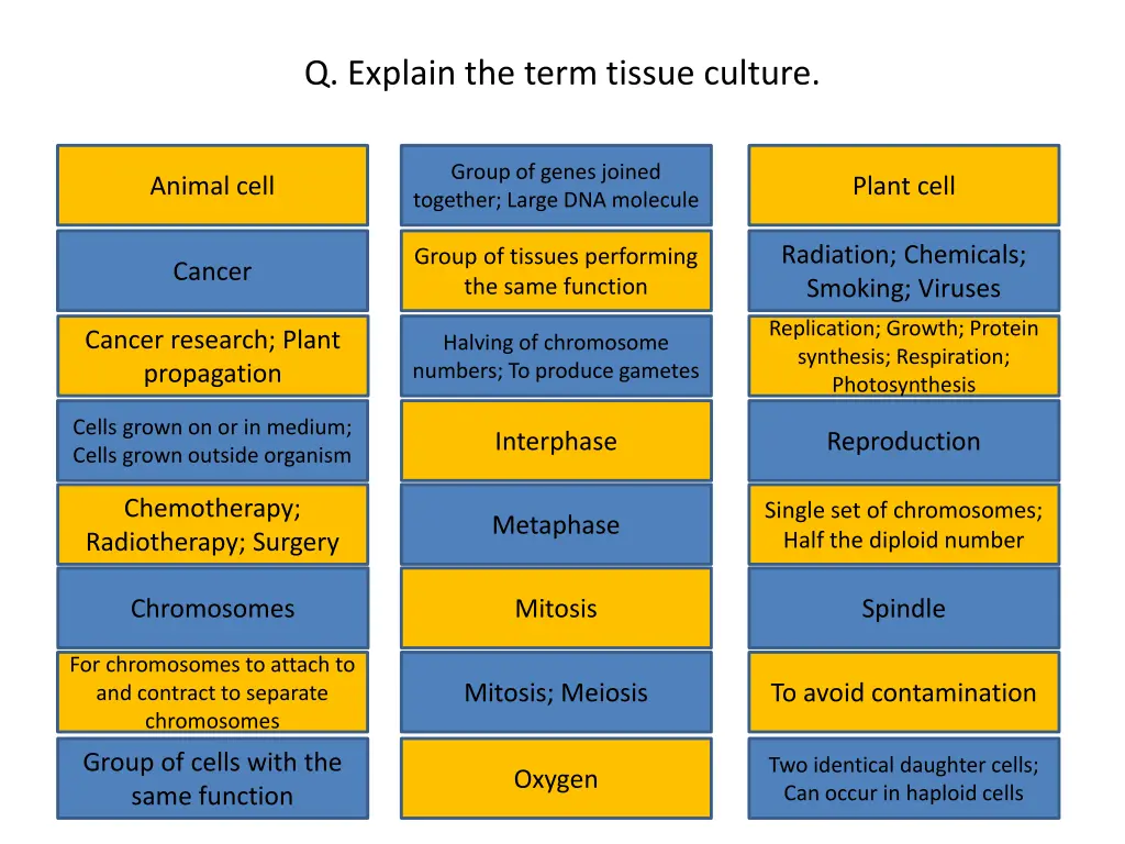 q explain the term tissue culture