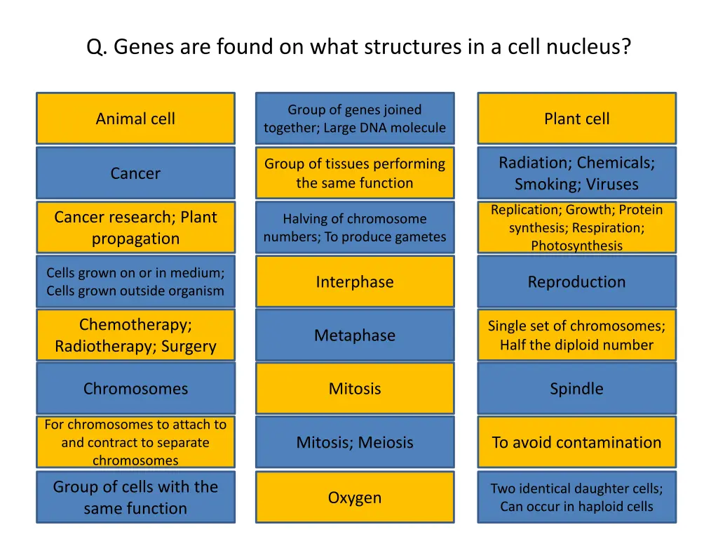 q genes are found on what structures in a cell