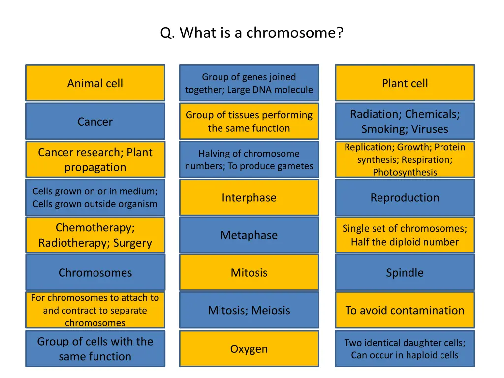 q what is a chromosome