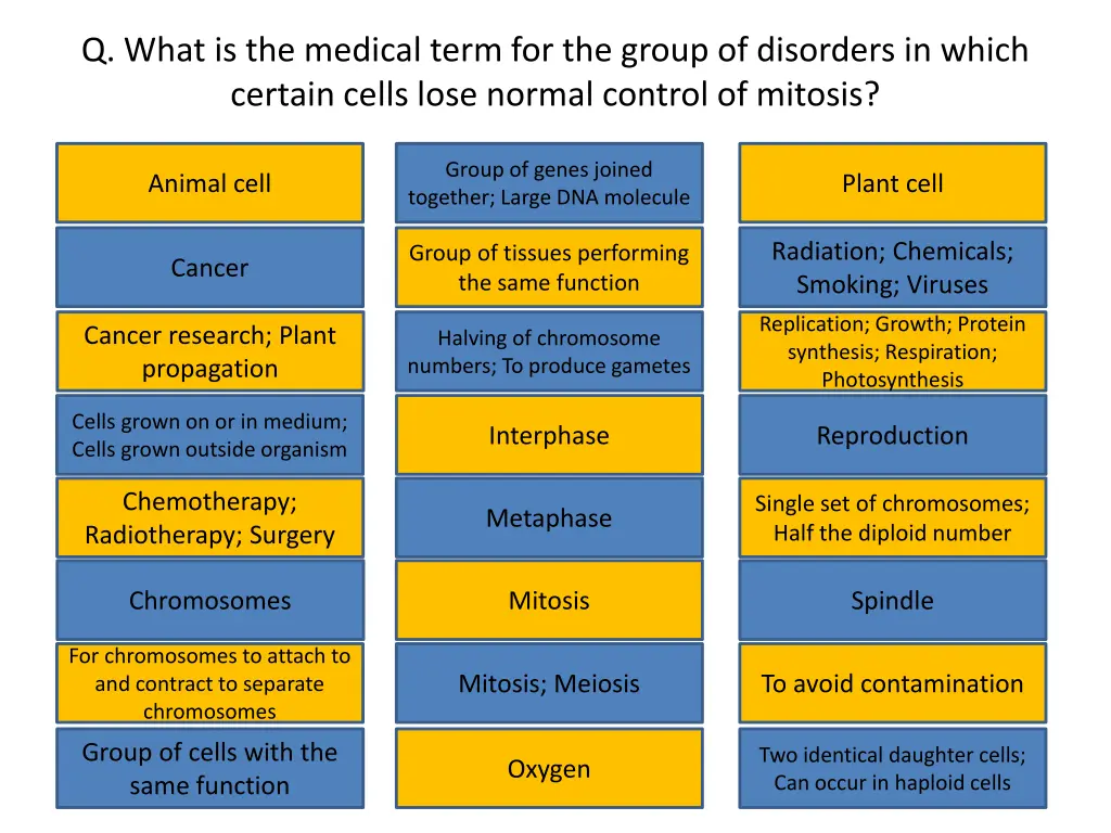 q what is the medical term for the group