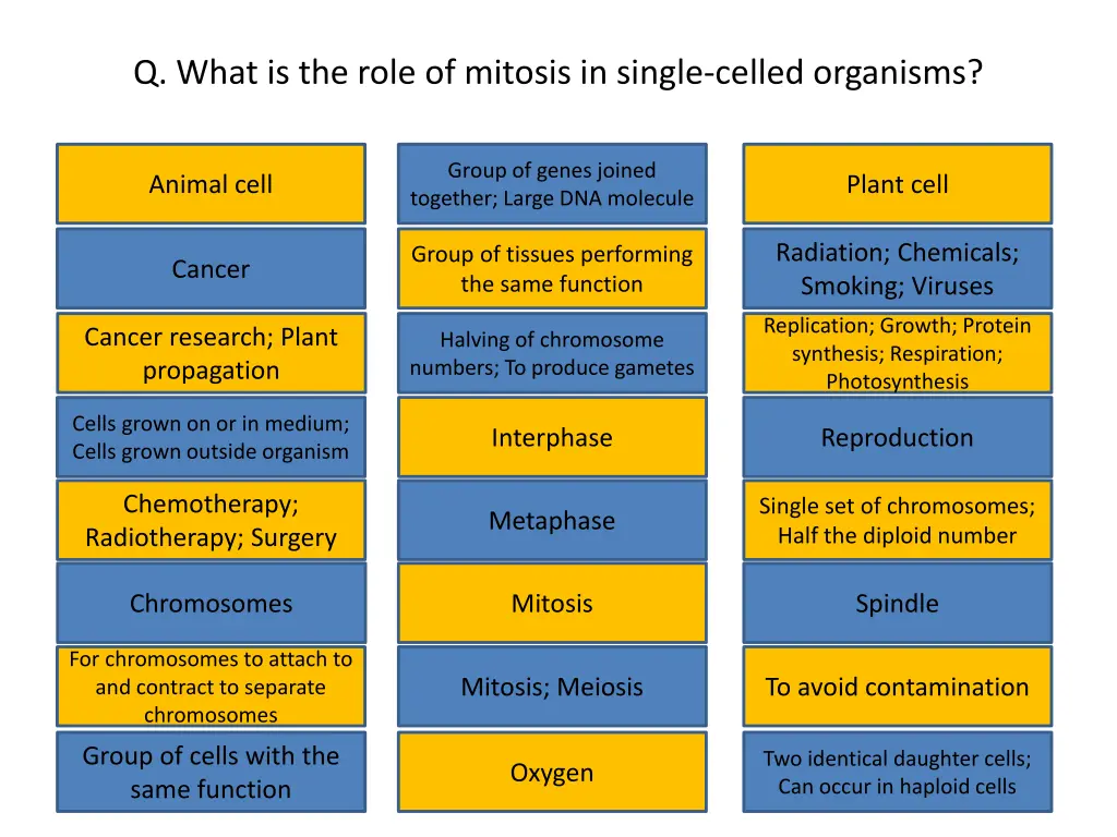 q what is the role of mitosis in single celled