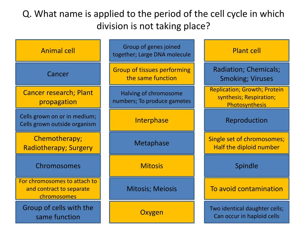 q what name is applied to the period of the cell