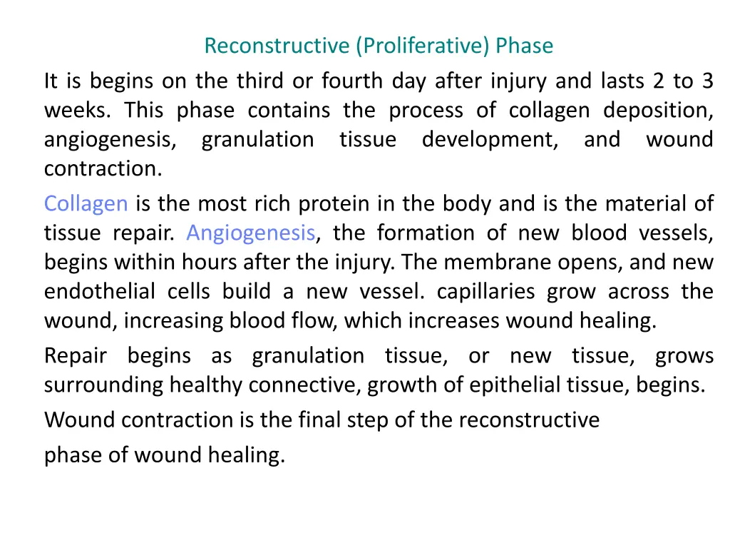 reconstructive proliferative phase it is begins