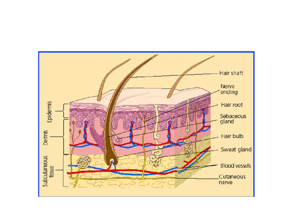 slide3