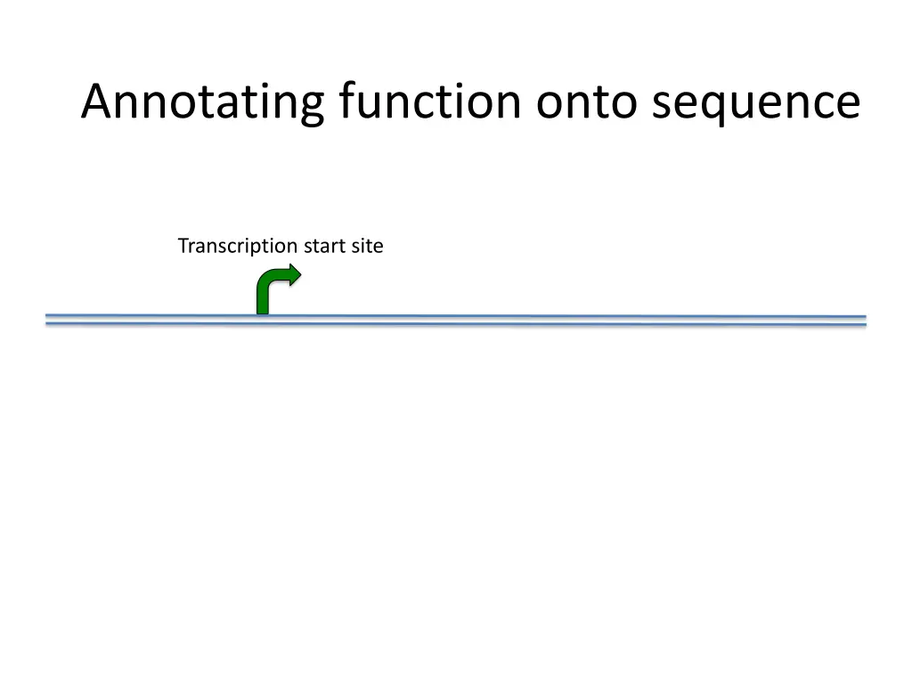 annotating function onto sequence 1