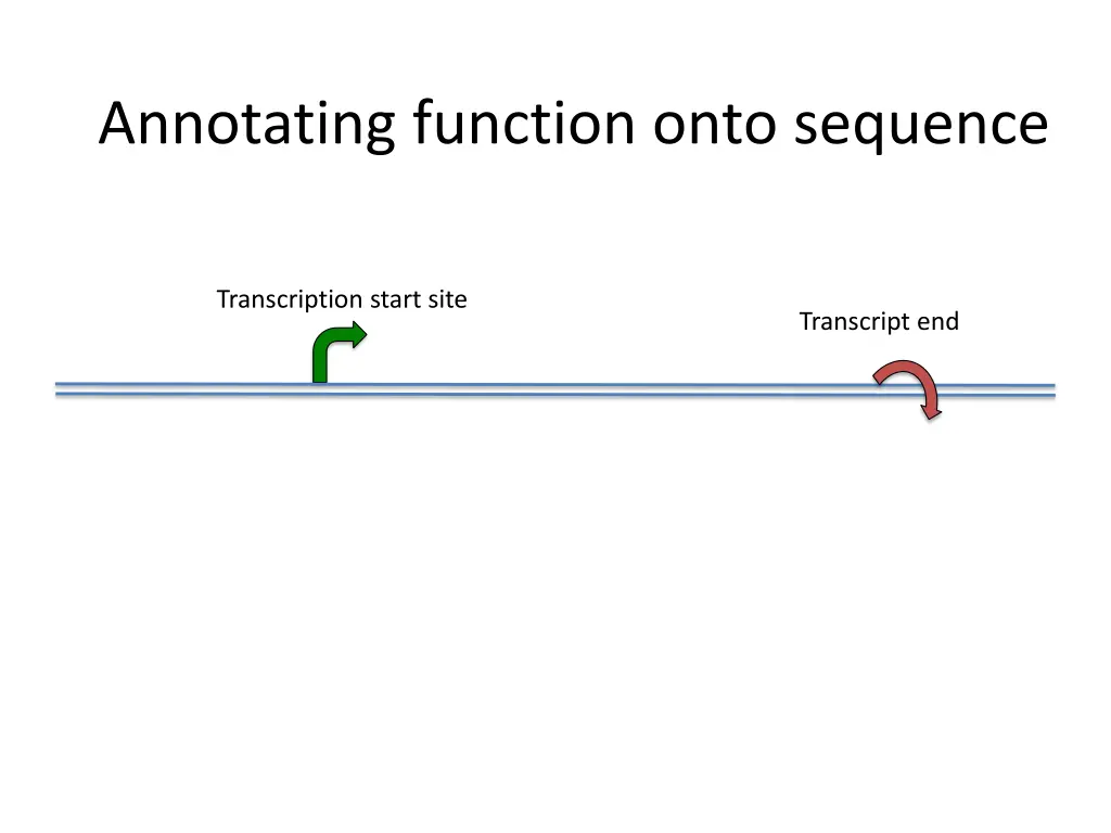 annotating function onto sequence 2