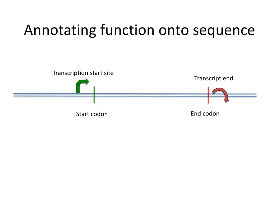 annotating function onto sequence 3