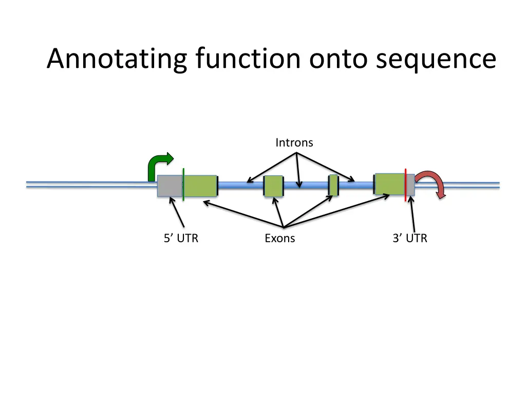 annotating function onto sequence 5
