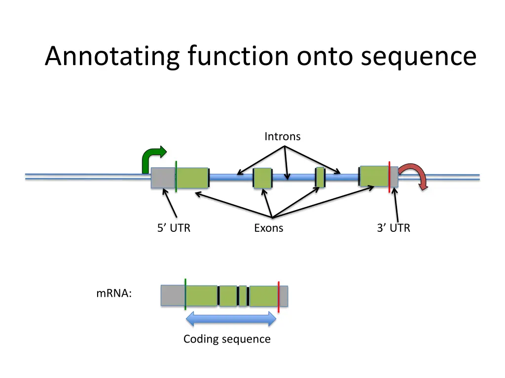 annotating function onto sequence 6