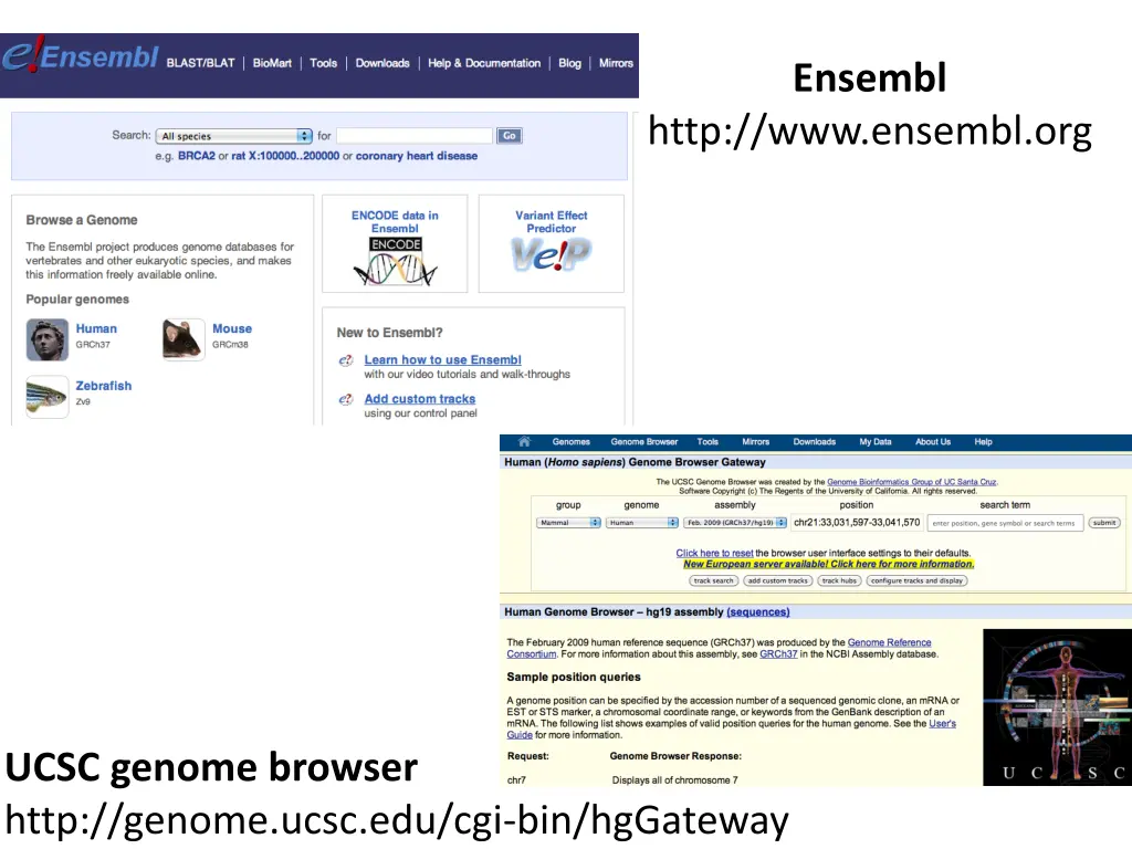 ensembl