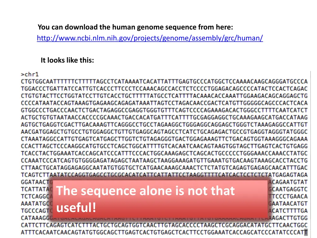 you can download the human genome sequence from