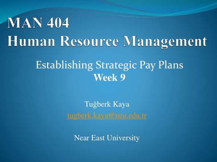 establishing strategic pay plans week 9