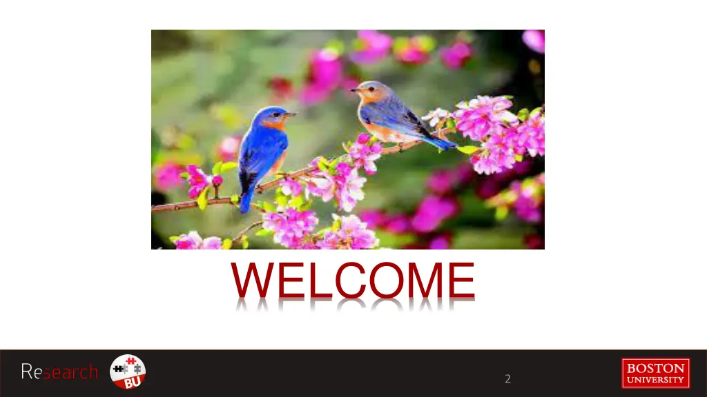 welcome