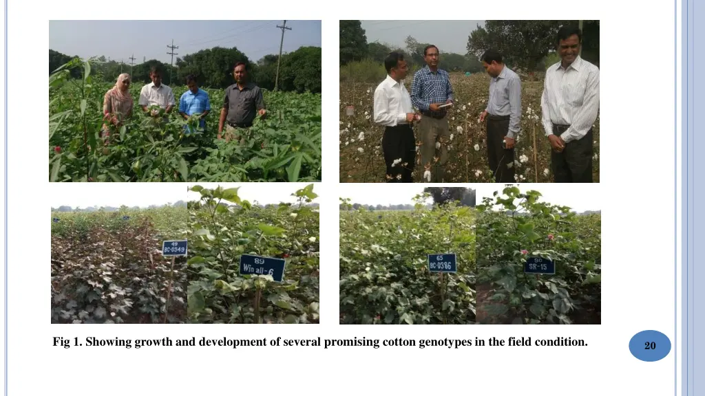 fig 1 showing growth and development of several