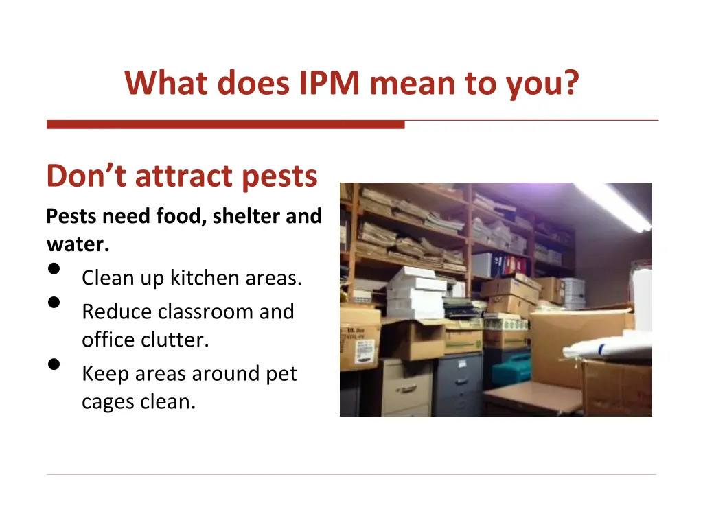 what does ipm mean to you 1
