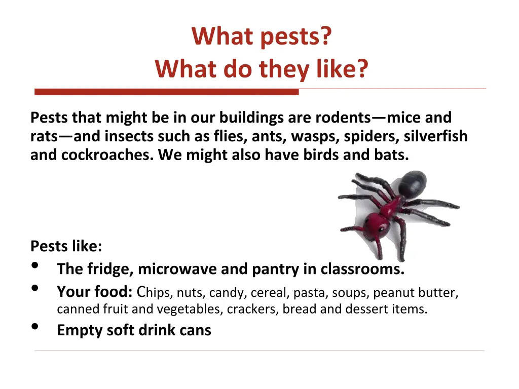 what pests what do they like