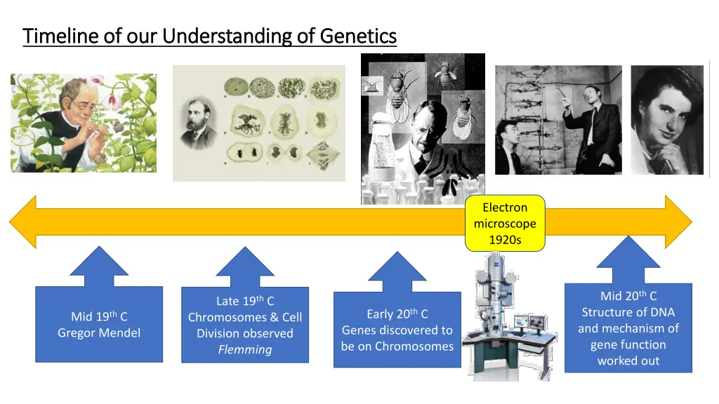 timeline of our understanding of genetics 1