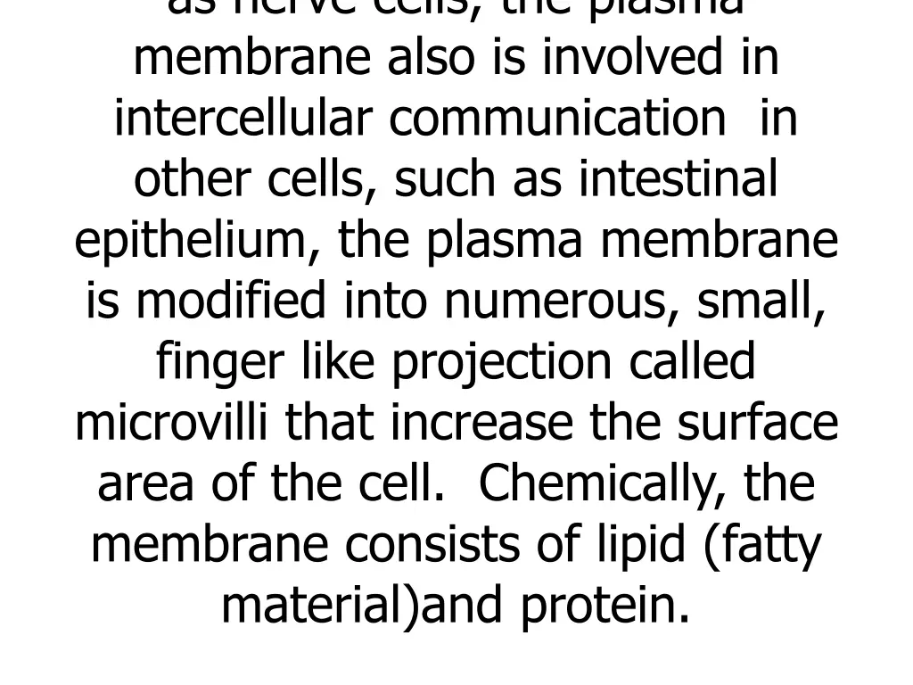 as nerve cells the plasma membrane also