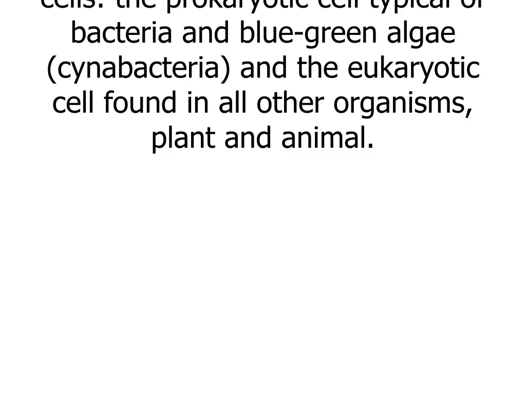 cells the prokaryotic cell typical of bacteria